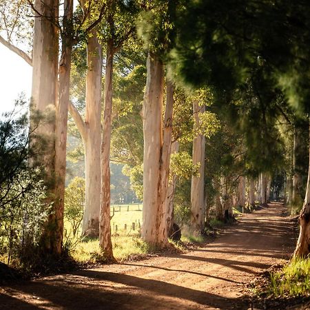 Karrak Reach Forest Retreat デンマーク エクステリア 写真