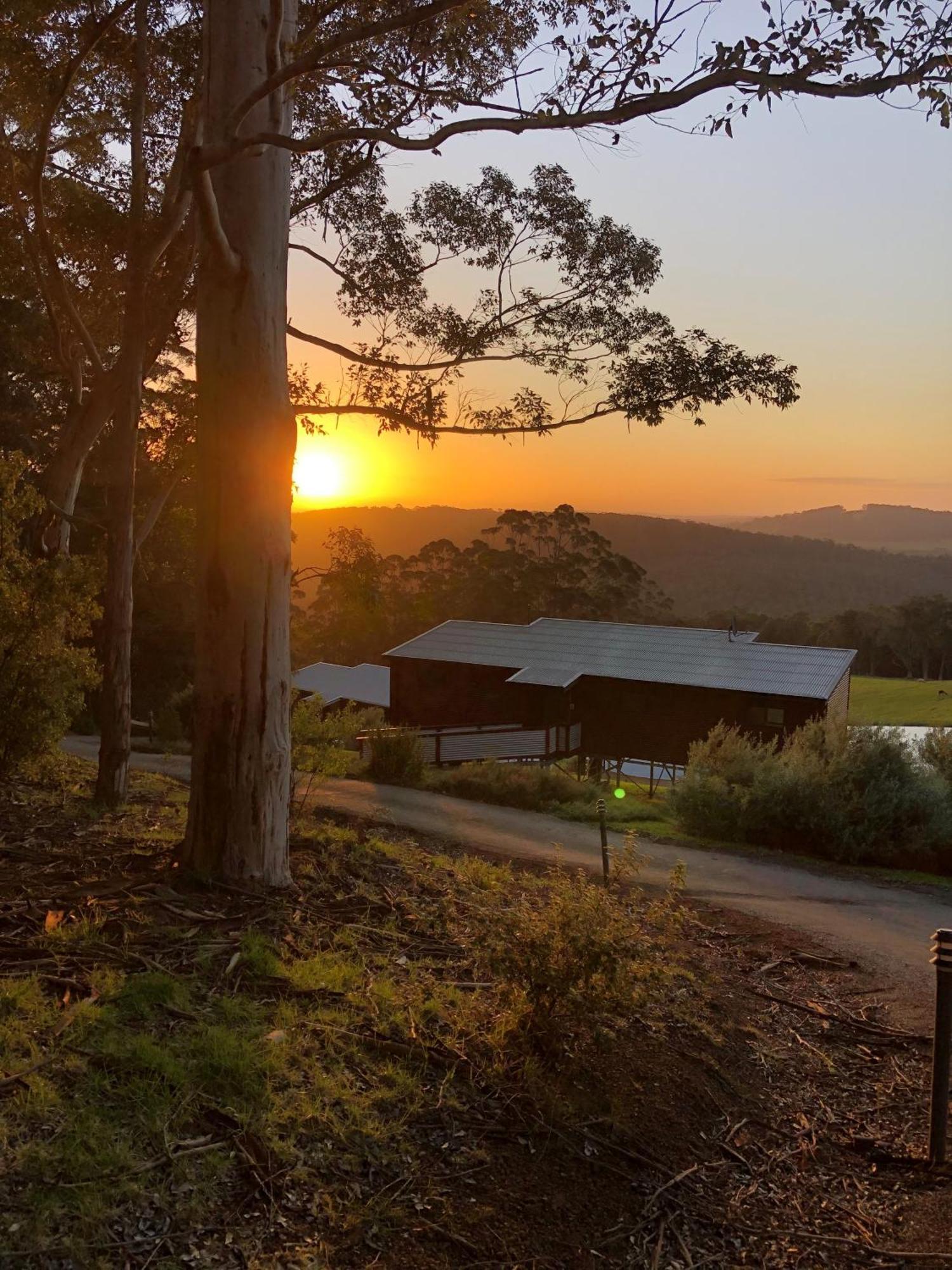Karrak Reach Forest Retreat デンマーク エクステリア 写真