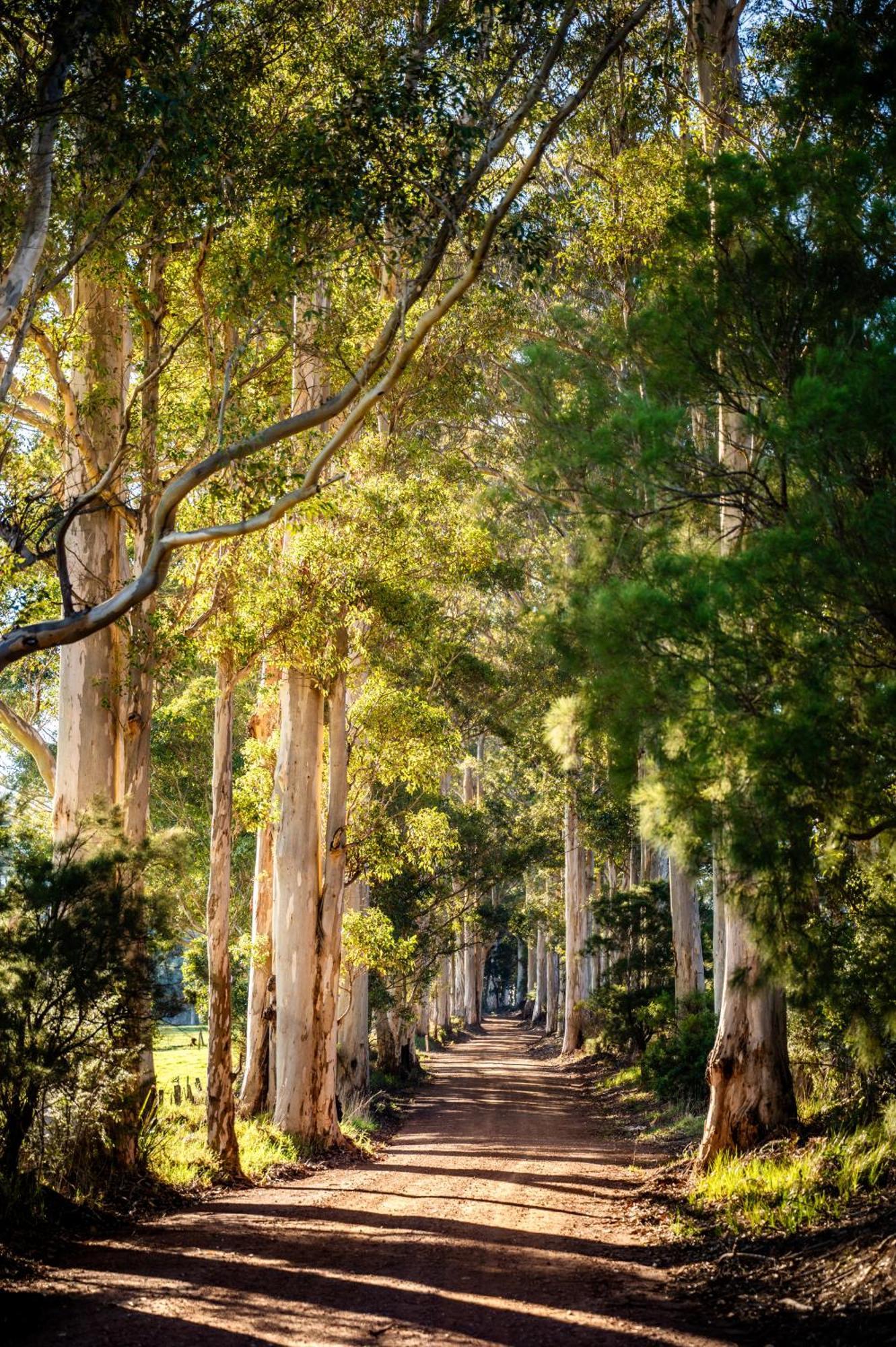 Karrak Reach Forest Retreat デンマーク エクステリア 写真